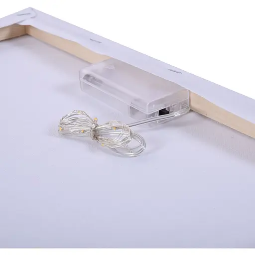 Картина за номерами Santi Коти на даху LED підсвітка 40 x 50 см  (956646) - фото 7