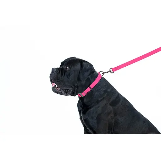 Водостойкий поводок для собак Waudog Waterproof S Ш 15 мм Д 122 см розовый - фото 5