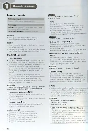 Beehive. Level 4. Teacher's Guide with Digital Pack - фото 6