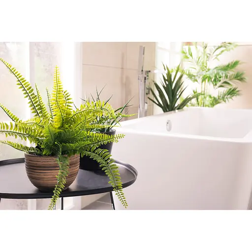 Торфосуміш COMPO SANA® для зелених рослин і пальм 10 л - фото 11