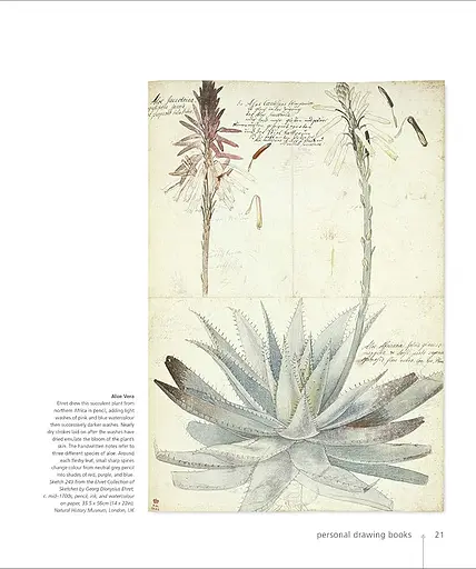 Botany for the Artist - фото 5