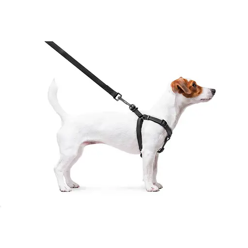 Шлей для собак водостойкий Waudog Waterproof с QR-паспортом металлическая пряжка-фастекс Ш 15 мм Д 40-55 см черный - фото 5