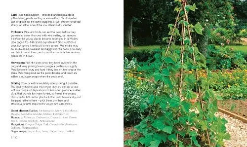 200 Veg-Growing Basics - фото 4