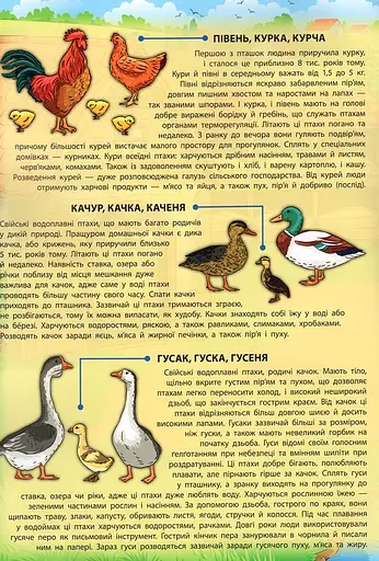 Енциклопедія з наліпками. Свійські тварини - фото 5