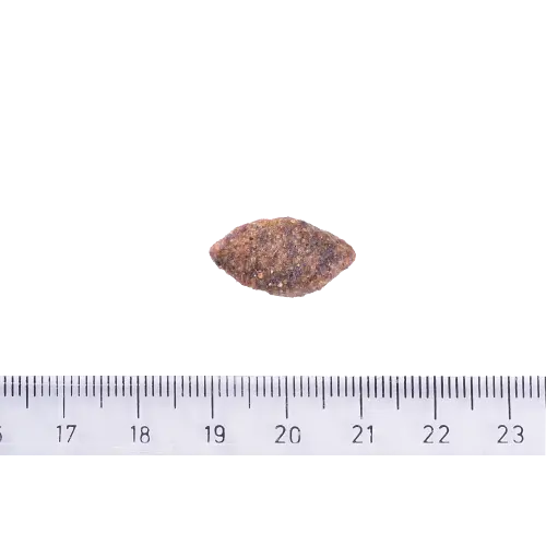 Сухой корм Brit Care Dog Grain-free Sensitive для собак с чувствительным пищеварением, беззерновой с олениной, 3 кг - фото 4