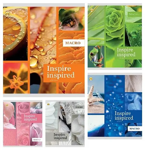 Зошити учнівські 36 аркушів клітинка Тверда ТЕ41407 Натхнення, 20 шт. в упаковці