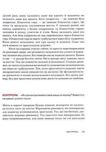 Свідомість Дзен. Свідомість початківця - фото 9