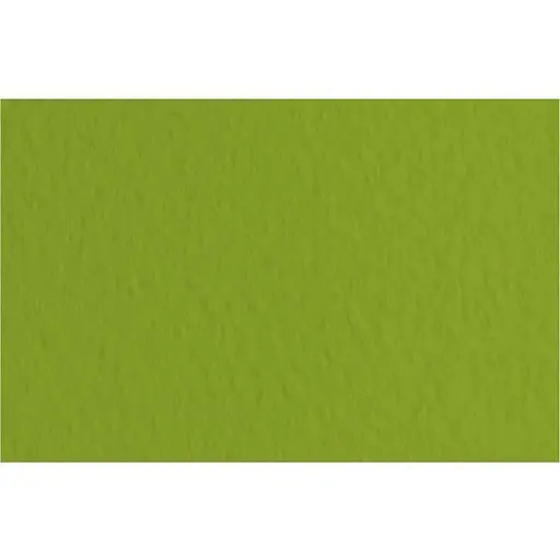 Папір для пастелі Fabriano Tiziano B2 (50х70см) №43 pistacc 160г/м2 фісташковий середнє зерно - фото 1