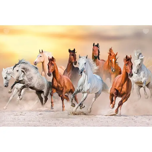 Пазл Tactic 1000 Дикие лошади (56754) - фото 2