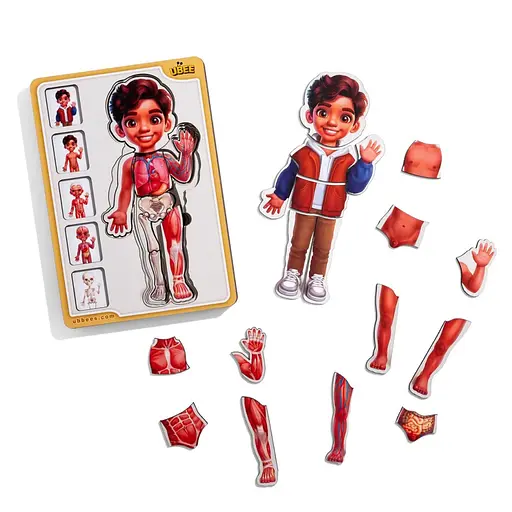 Деревяний пазл-вкладиш Анатомія людини - хлопчик-2 (ПСД261) PSD261 будова тіла - фото 2