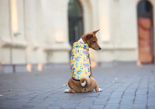 Курточка для собак Waudog Clothes малюнок "Рік та Морті 3", L65, В 87-90 см, С 60-65 см - фото 5