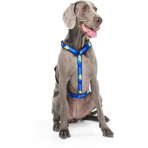 Шлея для собак Waudog Nylon анатомічна H-подібна з QR-паспортом, матеріал нейлон, малюнок "Прапор", пластиковий фастекс, розмір L - фото 8