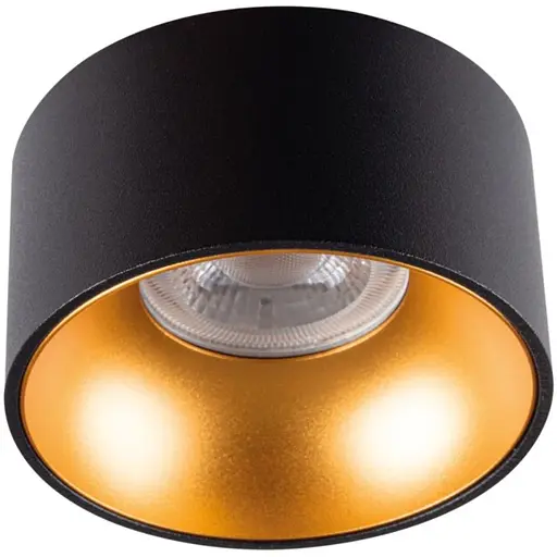 Потолочный светильник точечный Kanlux Mini Riti GU10 B/G (27575)