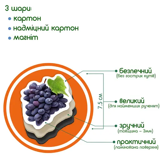 Набор магнитов Magdum "Фрукты и ягоды" ML4031-11 EN - фото 3