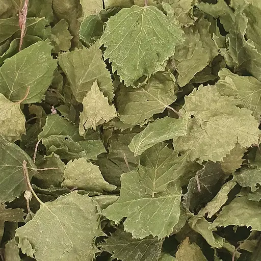 100 г береза лист сушеный - свежий урожай