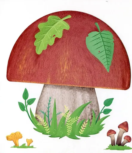 Книга Чудеса в природі. Оберни! Що вийшло? Автор - Ірина Сонечко (Ранок) - фото 3