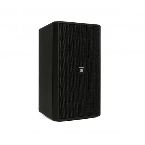 Трансляционная акустическая система JBL Control 29AV-1 BK - фото 3