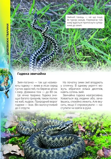 Про все на світі маленьким українцям - фото 3