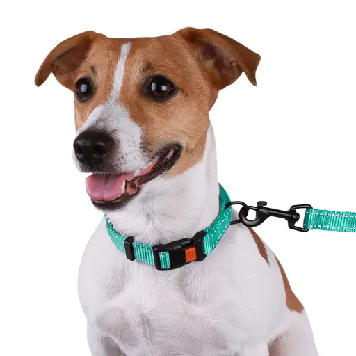 Поводок для собак Barksi Active 152х1 см ментоловый - фото 6