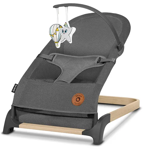 Кресло-качели Lionelo June Air Grey Graphite (LO-JUNE AIR GREY GRAPHITE) - фото 1