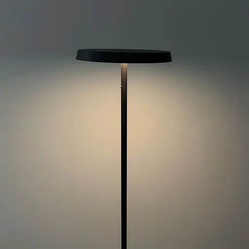 Торшер Skarlat RLL8122 24W BR 4000K - фото 4