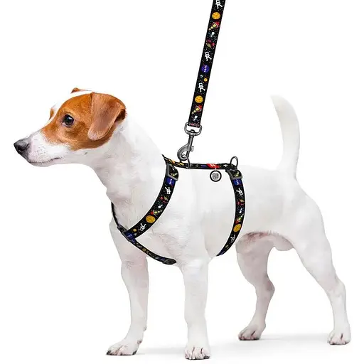 Шлейка для собак Waudog Nylon анатомическая H-образная с QR-паспортом, рисунок "NASA", пластиковый фастекс, L - фото 3