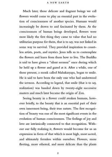 A New Earth - фото 9