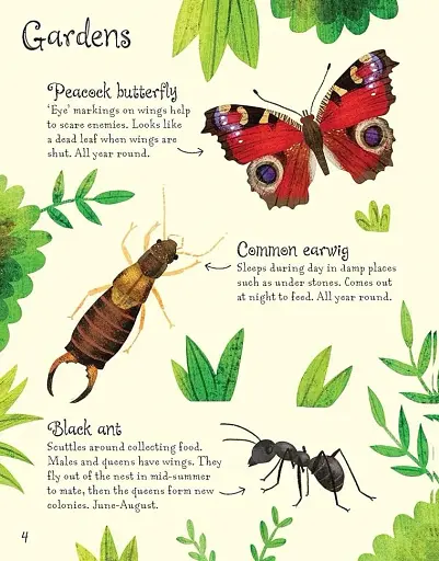 Bugs to Spot. Usborne Minis - фото 4