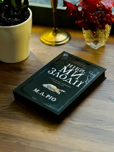 Ніби ми злодії - фото 3