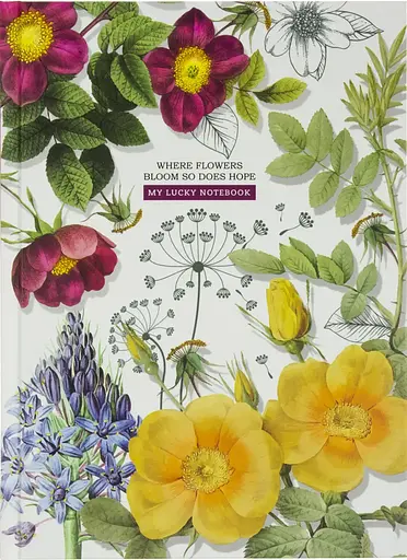 Блокнот, 60 г, 143x210 мм, 80 аркушів, клітинка, 19479-19482