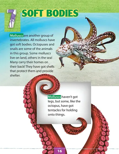 No Bones! - фото 5