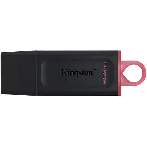 Kingston Накопичувач 256GB USB 3.2 Type-A Gen1 DT Exodia