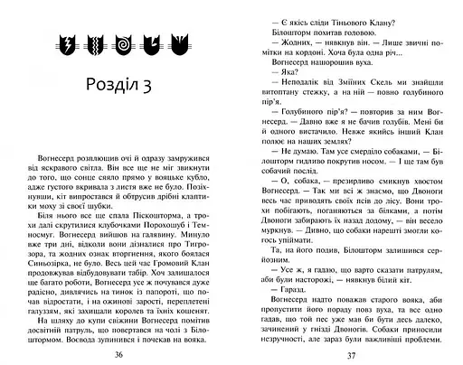 Коти-Вояки. Небезпечний шлях - фото 4