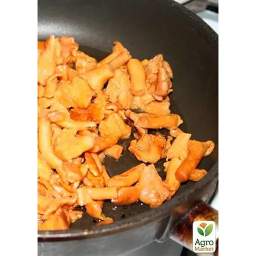 Міцелій на дубових брусочках "Глива лимонна-жовта" 10шт (45240) - фото 2