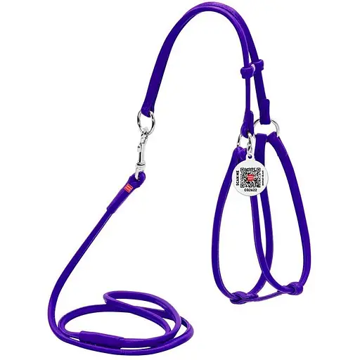 Шлея з повідцем для собак Waudog Glamour шкіряна з QR паспортом, кругла, фіолетовий