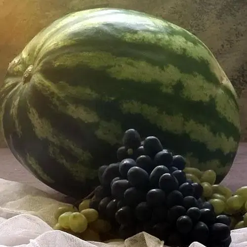 Арбуз Весна Кримсон Свит (в банке) Органик 10г (44975) - фото 2