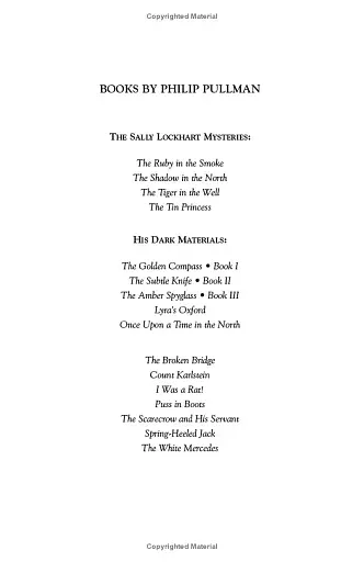 Sally Lockhart Mystery 4. The Tin Princess - фото 2