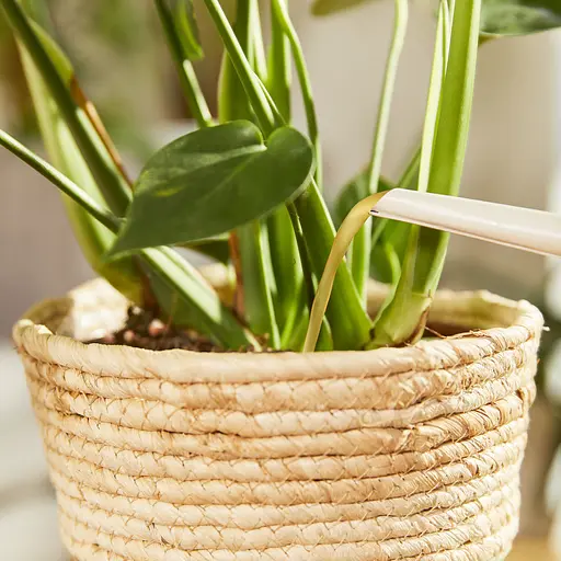 Жидкое универсальное удобрение COMPO Complete® 1 л - фото 9