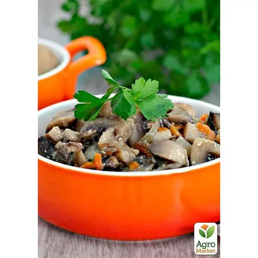 Міцелій на дубових брусочках "Геріцій шипуватий" 10шт (45252) - фото 2