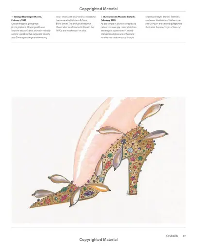 Vogue. The shoe - фото 9