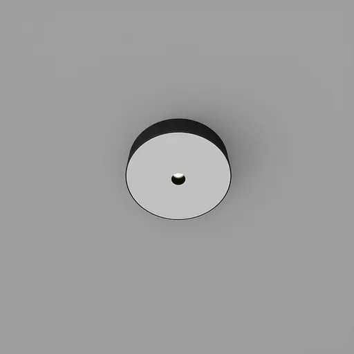 Точечный светильник Skarlat RSLС78031 1x3W BK+WH 3000K