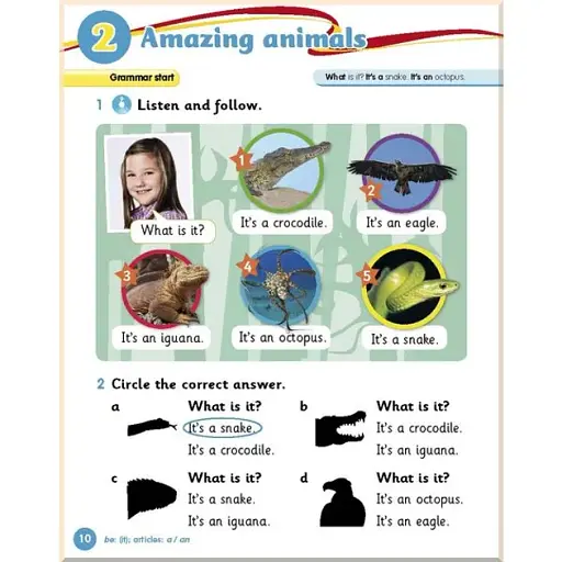 Grammar Goals Level 1. Pupil's Book with CD-ROM - фото 4