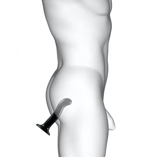 Фалоімітатор Strap-On-Me Dildo Plug PG L 18 см чорний - фото 8