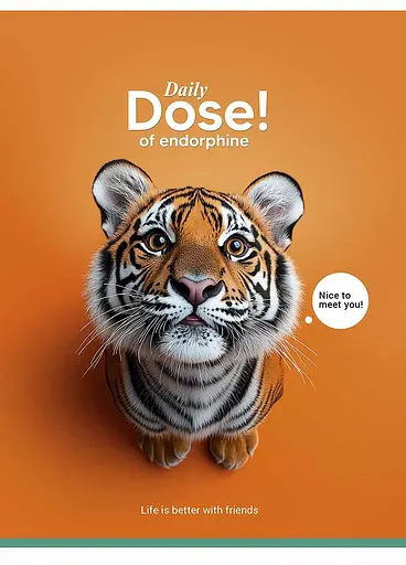 Комплект 4 шт загальних зошитів. Зошит Школярик А5 48 арк. у клітинку 5253 4823088249101 - фото 4