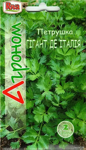 Семена Riva Агроном Петрушка Гигант де Италия 2 г - фото 1