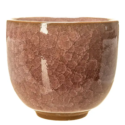 Набор Пиал Newtea "Ледяной Букет" 100 мл 6 шт. - фото 8