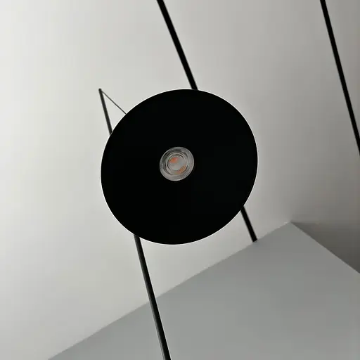 Торшер Skarlat RLL8110 2×10W BK 3000K - фото 4