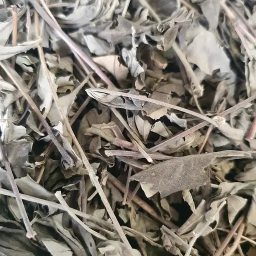 100 г витекс священный/авраамово дерево/прутняк/монаший перец трава - свежий урожай