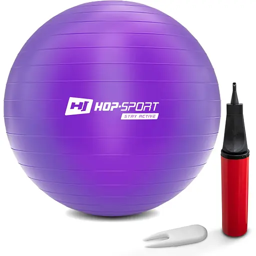 Фитбол Hop-Sport 75см фиолетовый + насос 2020