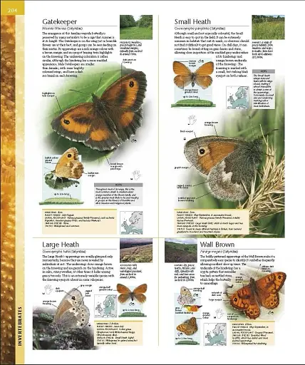 Wildlife of Britain and Ireland - фото 13